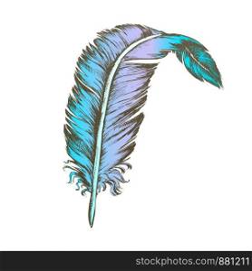 Color Decorative Bird Element Feather Vintage Vector. Standing Feather Cover Exterior Flyer Body Detail Writer Ancient Ink Tool. Template Designed In Retro Style Illustration. Color Decorative Bird Element Feather Vintage Vector