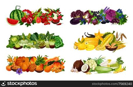 Color diet fruits, berries and vegetables sorted by red and purple, green and yellow, orange and white. Vector watermelon, salad, onion and eggplant, cabbage and banana, pumpkin and peach, corn. Healthy color diet, fruits and veggies, berries