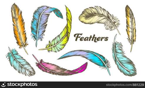 Color Different Feathers Set Ink Vector. Standing, Flying And Lying Fluffy Bird Feathers. Epidermal Growths Form Distinctive Outer Covering Or Plumage. Hand Drawn Illustrations. Color Different Feathers Set Ink Vector
