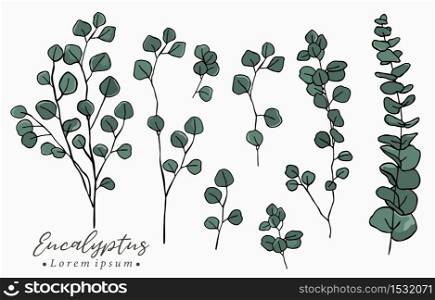 Color eucalyptus logo collection with leaves,geometric.Vector illustration for icon,logo,sticker,printable and tattoo