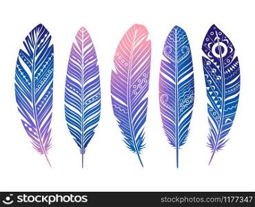Color feathers vector set. Hand sketched tribal feathers isolated on white background. Color feathers vector set. Hand sketched tribal feathers isolated on white