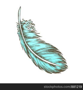 Color Lost Bird Outer Element Feather Monochrome Vector. Decorative Feather Flyer Detail Aid In Flight, Thermal Insulation And Waterproofing. Designed In Retro Style Illustration. Color Lost Bird Outer Element Feather Monochrome Vector