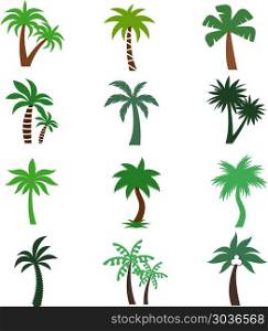 Color palm trees vector silhouettes. Color palm trees vector silhouettes. Set of tropical green plants illustration