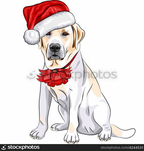 color sketch of the puppy dog Labrador Retriever breed in the red hat of Santa Claus with Christmas bow