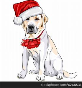 color sketch of the puppy dog Labrador Retriever breed in the red hat of Santa Claus with Christmas bow