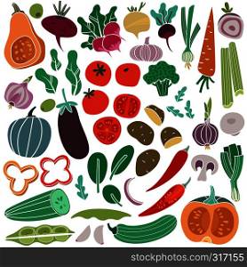 Color vegetables hand drawn. Carrot onion cucumber tomato potato eggplant. Vegan healthy meal organic food vegetable isolated. Color vegetables hand drawn. Carrot onion cucumber tomato potato eggplant. Vegan healthy meal food vegetable isolated