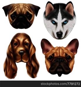 Colored and isolated realistic dog breed icon set with four cute canine muzzles vector illustration. Realistic Dog Breed Icon Set