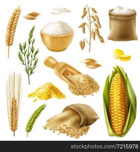 Colored and realistic cereals icon set with wheat rice barley oat corn vector illustration. Cereals Icon Set