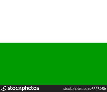 Colored flag of Saxony