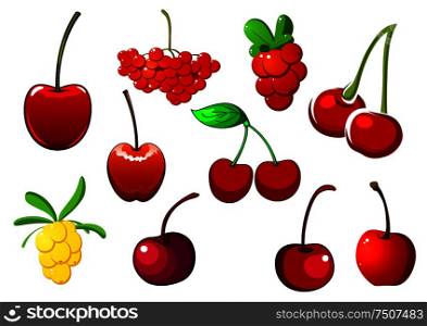 Colored fresh berry icons with cherries, rowan and red and white currants, isolated on white. Colored fresh berry icons set