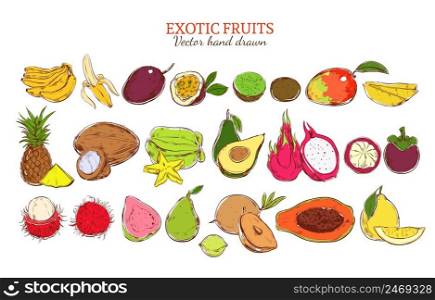 Colored fresh natural exotic fruits set with organic tropical products in hand drawn style isolated vector illustration. Colored Fresh Natural Exotic Fruits Set