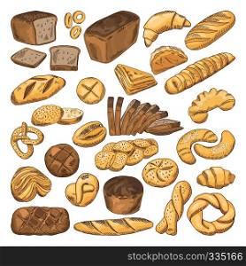 Colored hand drawn pictures of fresh bread and different types of bakery food. Baguette, croissant and others. Bread 0 food, fresh bakery snack illustration. Colored hand drawn pictures of fresh bread and different types of bakery food. Baguette, croissant and others