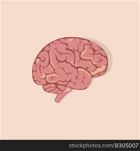 Colored Human brain. Internal organ, anatomy. White background. isolated vector cartoon flat icon EPS 10 illustration.