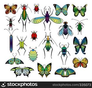 Colored insects isolate on white. Bugs and butterflies vector pictures set. Insect collection drawing, illustration of exotic insect. Colored insects isolate on white. Bugs and butterflies vector pictures set