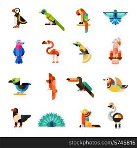 Colored jungle wild forest exotic birds icons set isolated vector illustration