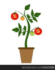 Colored Money Tree, Dependence of Financial Growth Flat Concept. Vector Illustration. EPS10. Colored Money Tree, Dependence of Financial Growth Flat Concept.