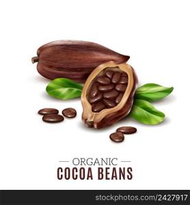 Colored realistic cocoa composition with organic cacao bean headline and broken beans vector illustration. Realistic Cocoa Composition