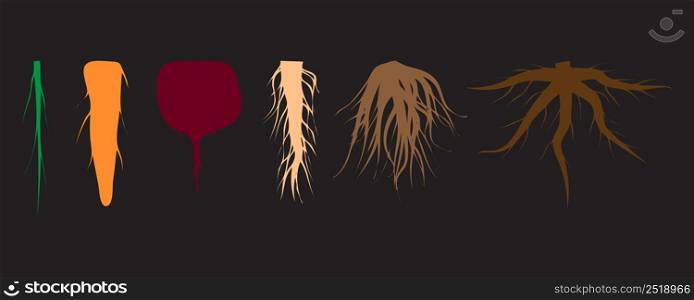 colored roots on a black background. Floral branch. Vector illustration. Stock image.