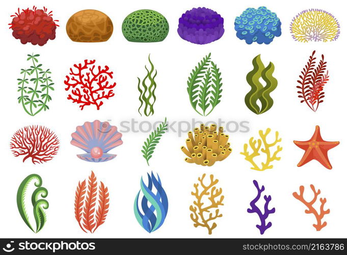 Colored seaweed and corals, underwater flora sea or ocean. Vector underwater sea coral for aquarium, reef aquatic and algae illustration. Colored seaweed and corals, underwater flora sea or ocean