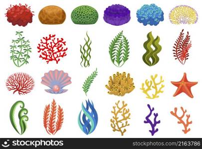 Colored seaweed and corals, underwater flora sea or ocean. Vector underwater sea coral for aquarium, reef aquatic and algae illustration. Colored seaweed and corals, underwater flora sea or ocean