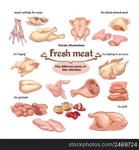 Colored sketch chicken meat parts set for different meals and dishes preparation isolated vector illustration. Colored Sketch Chicken Meat Parts Set