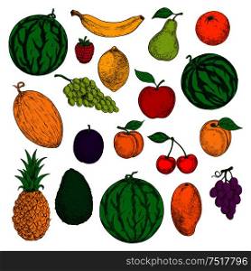 Colored sketched fresh apple, orange and mango, banana, lemon and peach, green and purple grapes, cherries and raspberry, watermelon, pineapple and pear, melon, avocado and apricot fruits. Healthy and diet dessert design. Fresh and ripe fruits colored sketches