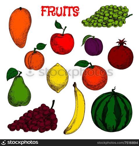 Colored sketches of fruits for agriculture design with flavorful tropical mango, juicy lemon, sweet orange and banana, bunches of violet and green grapes, red apple and pomegranate, fresh plum and peach, green pear and watermelon fruits. Ripe and fresh fruits colorful sketch symbol