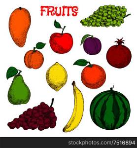 Colored sketches of fruits for agriculture design with flavorful tropical mango, juicy lemon, sweet orange and banana, bunches of violet and green grapes, red apple and pomegranate, fresh plum and peach, green pear and watermelon fruits. Ripe and fresh fruits colorful sketch symbol