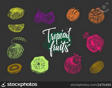 Colored tropical fruits collection in sketch style on dark background isolated vector illustration. Colored Tropical Fruits Collection