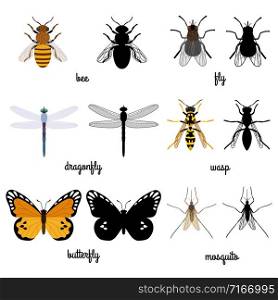 Colorful and black silhouettes flying insects isolated on white background. illustration of insect fly and butterfly. Colorful and black silhouettes flying insects isolated on white background