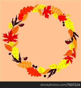Colorful autumn falling leaves arranged in round shaped frame, decorated by acorns and bunches of viburnum. Frame with autumn falling leaves