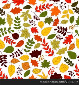 Colorful autumn leaves and berries seamless background. Wallpaper with vector pattern of trees and plants foliage oak, birch, maple, elm, poplar, aspen. Colorful leaves and berries seamless background