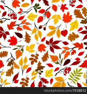 Colorful autumn leaves and berries seamless wallpaper. Background with vector pattern of foliage, acorn, oak, rowanberry, maple, elm, birch, aspen, rowan poplar. Autumn leaves and berries seamless background