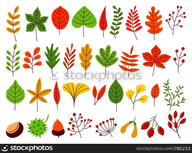 Colorful autumn leaves. Autumnal yellow leaf, forest nature orange leafage and september red leaves. Chestnut, dog rose and viburnum or foliage leaf. Flat isolated icons vector set. Colorful autumn leaves. Autumnal yellow leaf, forest nature orange leafage and september red leaves flat vector set
