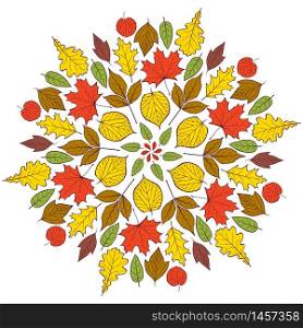 Colorful autumn mandala with autumn leaves on white background.Vector illustration.. Pattern with autumn leaves