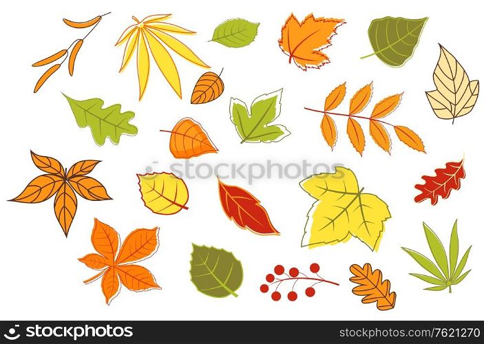 Colorful autumnal leaves and plants set isolated on white background for seasonal design