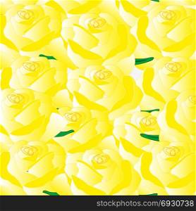 Colorful background from flower rose Colorful background from flower rose yellow color. Background from roses yellow