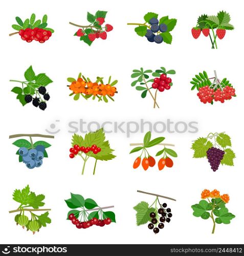 Colorful berries icons set of different kinds in flat style isolated vector illustration. Colorful Berries Icons Set