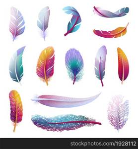 Colorful bird feather. Realistic feathers, isolated boho color elements. Tribal artistic wings, different decorative feathering swanky vector clipart. Illustration of feather realistic from color bird. Colorful bird feather. Realistic feathers, isolated boho color elements. Tribal artistic wings, different decorative feathering swanky vector clipart