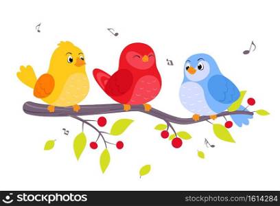 colorful Birds sitting on beautiful trees isolated on white background