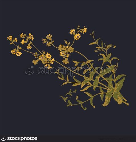Colorful botanical hand drawn branches with flowers isolated, herbal flowers isolated on black background vector illustration