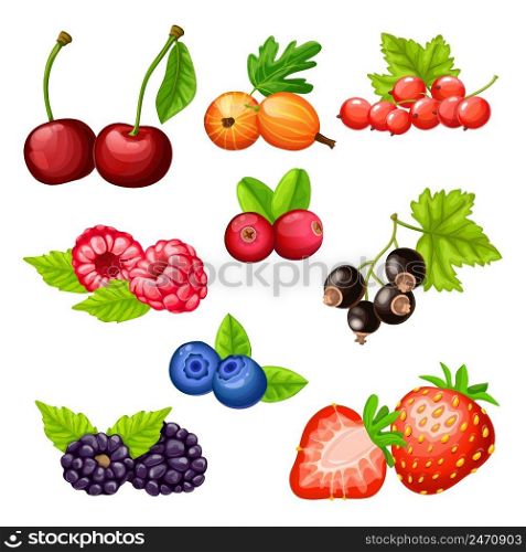 Colorful cartoon berries icons collection with cherry gooseberry strawberry cowberry cranberry bilberry blackberry currant raspberry isolated vector illustration. Colorful Cartoon Berries Icons Collection