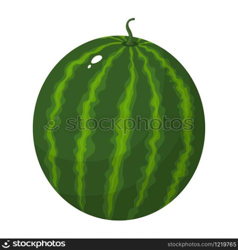 Colorful cartoon whole green watermelon isolated on white background. Fresh cartoon berries. Vector illustration for any design.