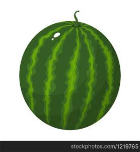Colorful cartoon whole green watermelon isolated on white background. Fresh cartoon berries. Vector illustration for any design.