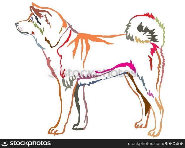 Colorful contour decorative portrait of standing in profile dog Akita Inu, vector isolated illustration on white background