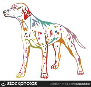 Colorful contour decorative portrait of standing in profile dog Dalmatian, vector isolated illustration on white background