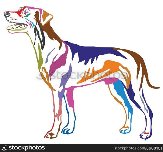 Colorful contour decorative portrait of standing in profile dog German Pinscher (standart), vector isolated illustration on white background