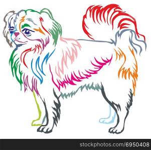 Colorful contour decorative portrait of standing in profile dog Japanese Chin, vector isolated illustration on white background