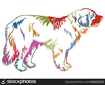 Colorful contour decorative portrait of standing in profile dog Leonberger, vector isolated illustration on white background