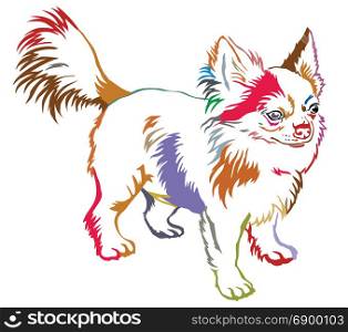 Colorful contour decorative portrait of standing in profile dog long-haired Chihuahua, vector isolated illustration on white background